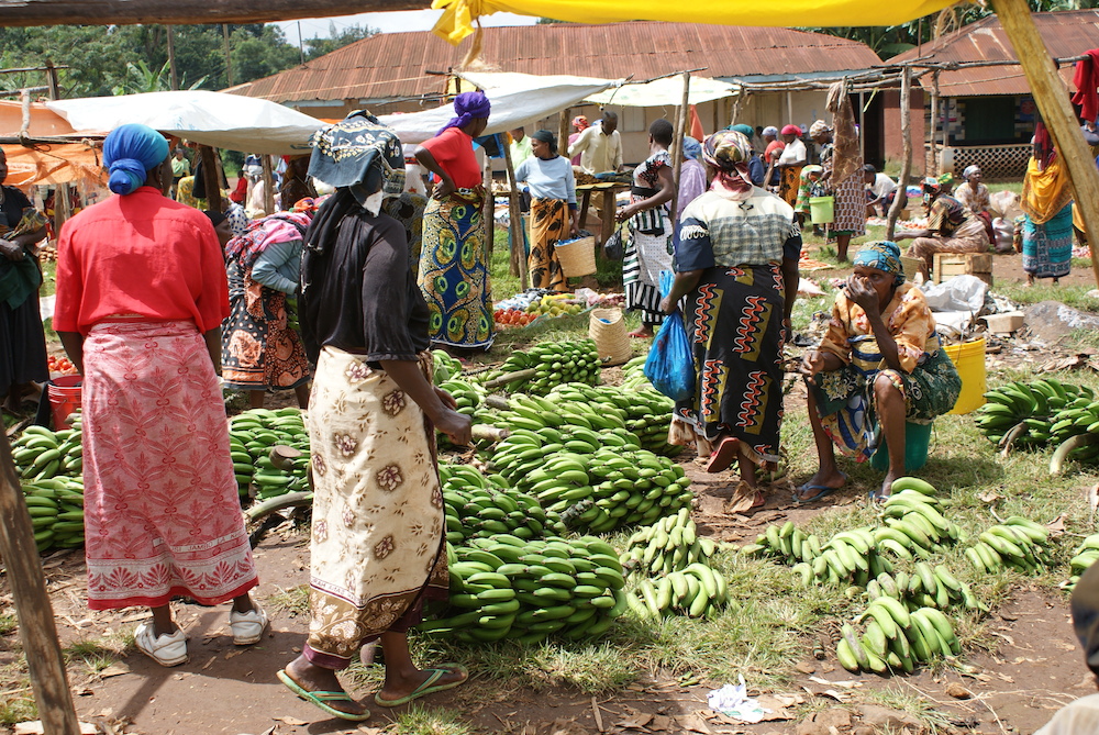 Market in Tanzania_Africa_travel